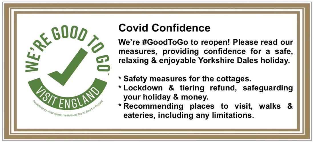 Covid Confidence measures 2021